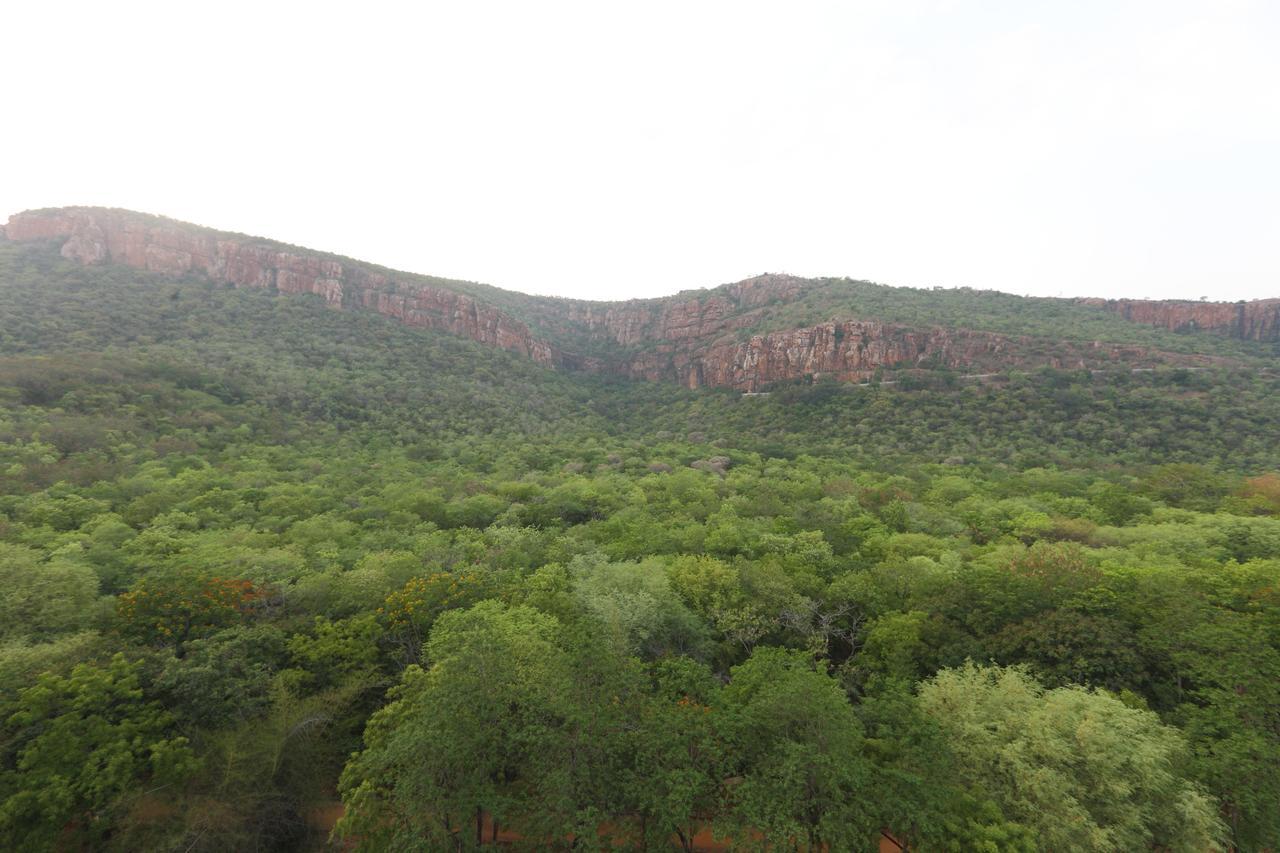 Oyo 15115 Hotel Ramcharan Residency Tirupati Exterior foto